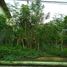  Terreno (Parcela) en venta en Cainta, Calabarzon, Cainta, Rizal