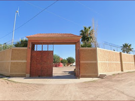  Grundstück zu verkaufen in Aquiles Serdan, Chihuahua, Aquiles Serdan, Chihuahua