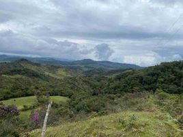  Villa zu verkaufen in El Carmen De Viboral, Antioquia, El Carmen De Viboral