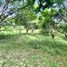  Land for sale in Jordan, Western Visayas, Jordan, Guimaras