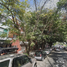 2 Habitación Apartamento en venta en Miguel Hidalgo, Ciudad de México, Miguel Hidalgo