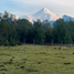  Terreno (Parcela) en venta en Chile, Pucón, Cautín, Araucanía, Chile
