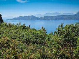  Terreno (Parcela) en venta en Ranco, Los Ríos, Lago Ranco, Ranco