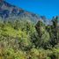  Terreno (Parcela) en venta en Ranco, Los Ríos, Lago Ranco, Ranco