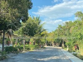 Terrain à vendre à Puerto Morelos, Quintana Roo, Puerto Morelos