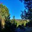  Terreno (Parcela) en venta en Ñuble, Pinto, Diguillín, Ñuble