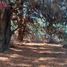  Terreno (Parcela) en venta en Ñuble, Pinto, Diguillín, Ñuble