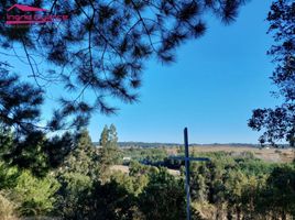  Terreno (Parcela) en venta en Ñuble, Pinto, Diguillín, Ñuble