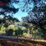  Terreno (Parcela) en venta en Ñuble, Pinto, Diguillín, Ñuble