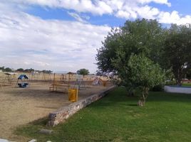 Grundstück zu verkaufen in Silao, Guanajuato, Silao