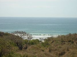  Grundstück zu verkaufen in La Union, Guerrero, La Union