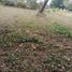  Land for sale in Jamapa, Veracruz, Jamapa