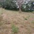  Land for sale in Jamapa, Veracruz, Jamapa