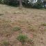  Land for sale in Jamapa, Veracruz, Jamapa