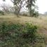 Terrain à vendre à Jamapa, Veracruz, Jamapa, Veracruz