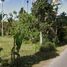  Land for sale in Bangli, Bali, Kintamani, Bangli