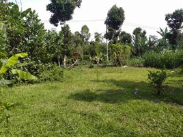  Land for sale in Kintamani, Bangli, Kintamani