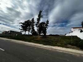  Land for sale in Chile, Vina Del Mar, Valparaiso, Valparaiso, Chile