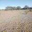  Land for sale in Dolores Hidalgo, Guanajuato, Dolores Hidalgo