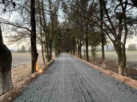  Terreno (Parcela) en venta en Huimilpan, Querétaro, Huimilpan