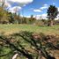  Land for sale in Chile, Loncoche, Cautin, Araucania, Chile