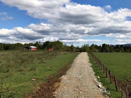  Land for sale in Chile, Loncoche, Cautin, Araucania, Chile