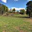  Land for sale in Chile, Loncoche, Cautin, Araucania, Chile