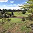  Land for sale in Chile, Loncoche, Cautin, Araucania, Chile