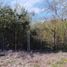  Land for sale in Cadereyta Jimenez, Nuevo Leon, Cadereyta Jimenez