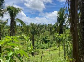  Grundstück zu verkaufen in Surigao del Norte, Caraga, General Luna