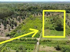  Land for sale in Pasir, East Kalimantan, Penajam, Pasir