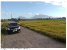  Terrain for rent in Quezon, Calabarzon, Candelaria, Quezon