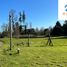  Land for sale in Araucania, Villarrica, Cautin, Araucania