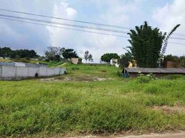  Land for sale in Emiliano Zapata, Veracruz, Emiliano Zapata