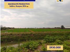  Land for sale in Urbina Jado, Guayas, El Salitre Las Ramas, Urbina Jado