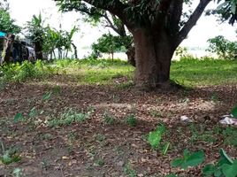  Land for rent in Baliuag, Bulacan, Baliuag