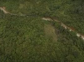  Grundstück zu verkaufen in Palawan, Mimaropa, Puerto Princesa City