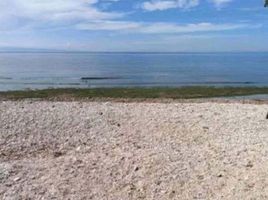  Land for sale in Borbon, Cebu, Borbon