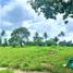  Land for sale in Silang, Cavite, Silang