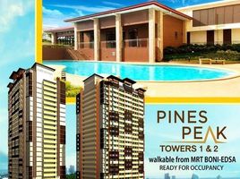 1 Schlafzimmer Appartement zu verkaufen in Mandaluyong City, Metro Manila, Mandaluyong City
