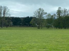  Terreno (Parcela) en venta en Araucanía, Villarrica, Cautín, Araucanía