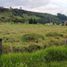  Land for sale in Cotogchoa, Pichincha, Cotogchoa, Ruminahui