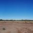  Land for sale in Huatabampo, Sonora, Huatabampo
