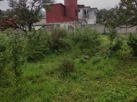  Terreno (Parcela) en venta en Xico, Veracruz, Xico