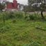  Terreno (Parcela) en venta en Xico, Veracruz, Xico