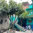 7 Schlafzimmer Villa zu verkaufen in Atizapan De Zaragoza, Mexico, Atizapan De Zaragoza, Mexico
