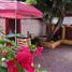 0 m² Office for rent in Morelos, Cuernavaca, Morelos