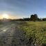  Terrain for sale in Ancud, Chiloe, Ancud