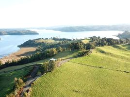  Terrain for sale in Ancud, Chiloe, Ancud