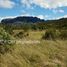  Terreno (Parcela) en venta en Capitán Prat, Aisén del General Carlos Ibáñez del Campo, Tortel, Capitán Prat